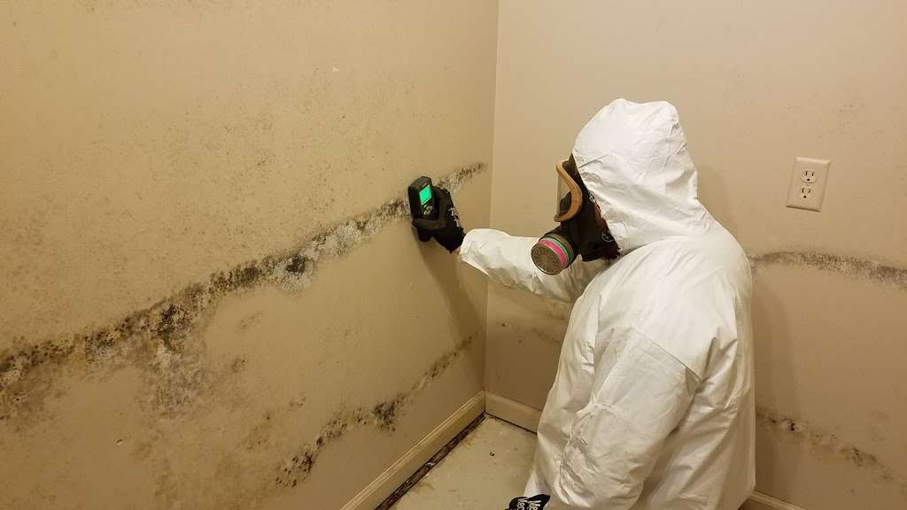 Crestview Mold & Water Services | 9 3rd Ave, Pottsville, PA 17901, USA | Phone: (570) 995-6653