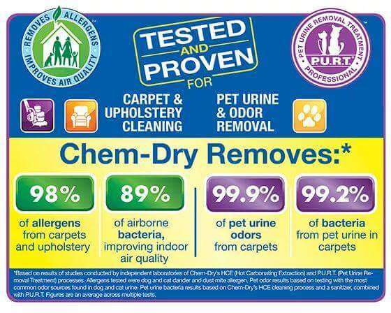 Chem-Dry Of Henrico | 10451 Chamberlayne Rd, Mechanicsville, VA 23116, USA | Phone: (804) 569-9501