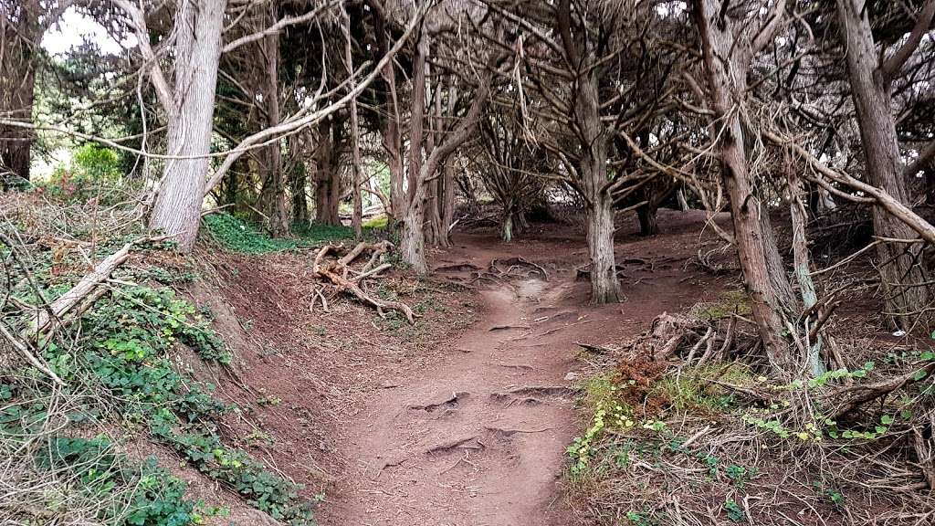 Coastal Trail | San Francisco, CA 94121, USA