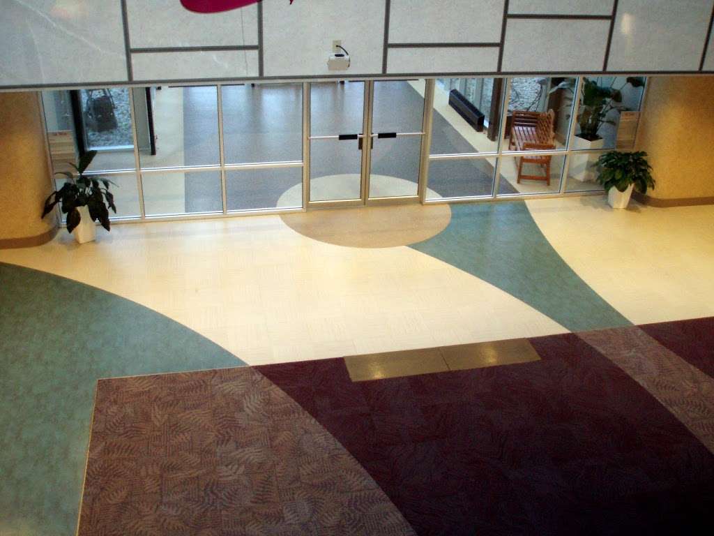 Homestead Carpets Inc | 2406, 551 Brick St, Gloucester City, NJ 08030, USA | Phone: (856) 742-9170