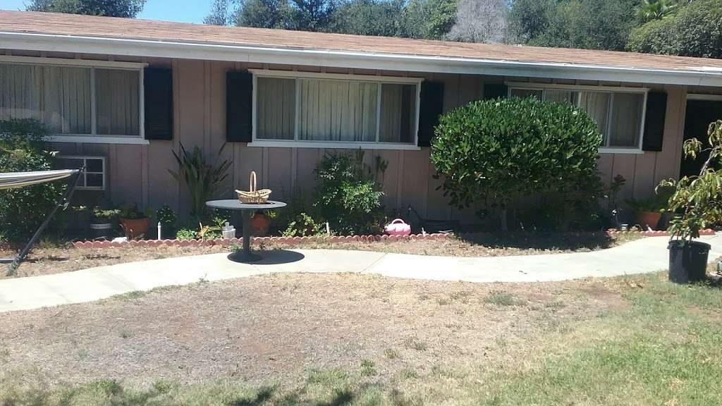 Petbackdrops.com | 724 Convertible Ln, Fallbrook, CA 92028, USA | Phone: (951) 764-4817