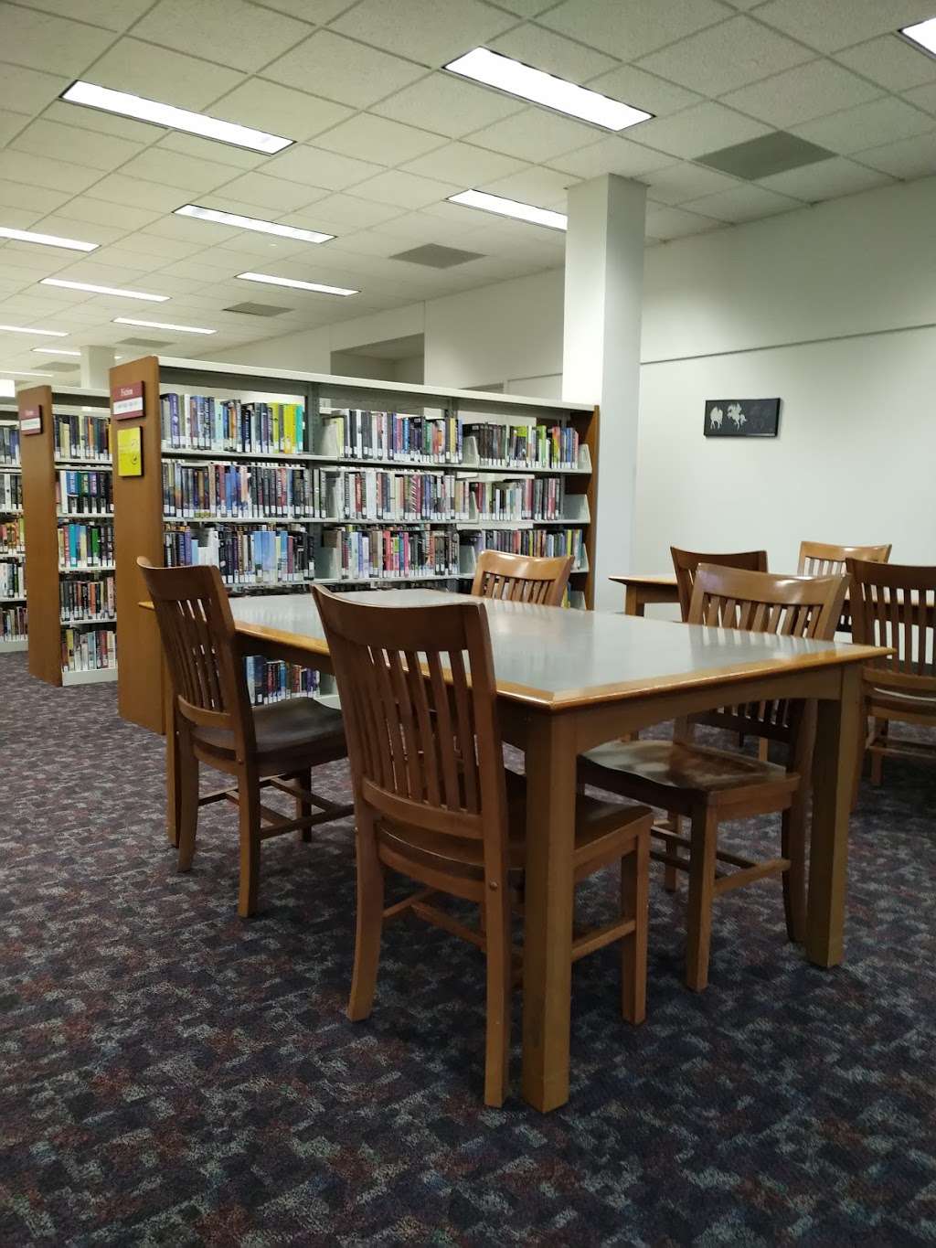 First Colony Branch Library | 2121 Austin Pkwy, Sugar Land, TX 77479, USA | Phone: (281) 238-2800