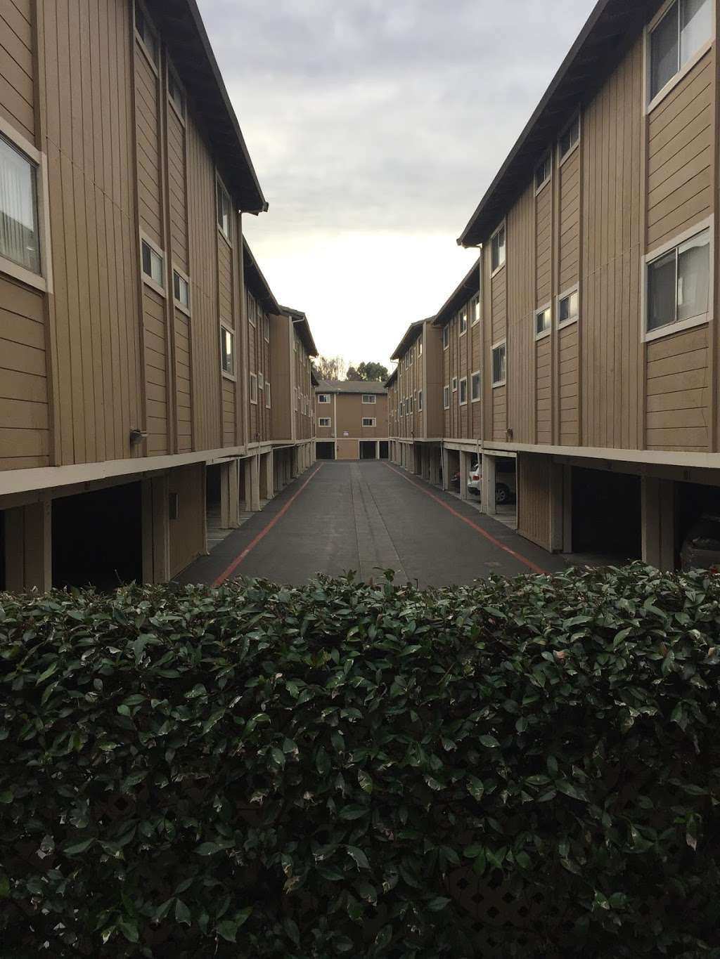 Shadow Oaks Apartment Homes | 202 Calvert Dr, Cupertino, CA 95014, USA | Phone: (408) 759-4182