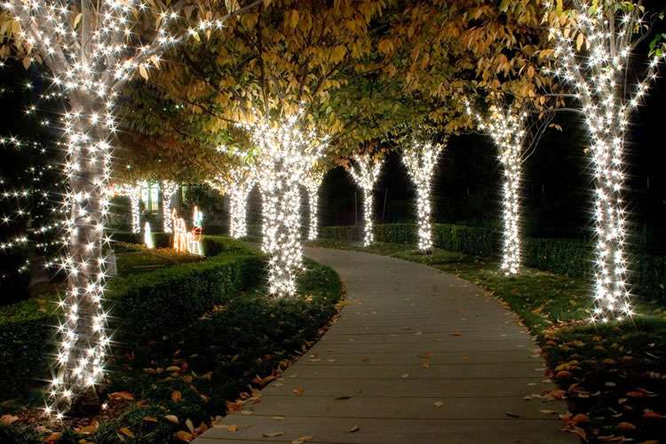 Circle of Lights in December | 5000 Piedmont Ave, Oakland, CA 94611, USA | Phone: (510) 658-2588