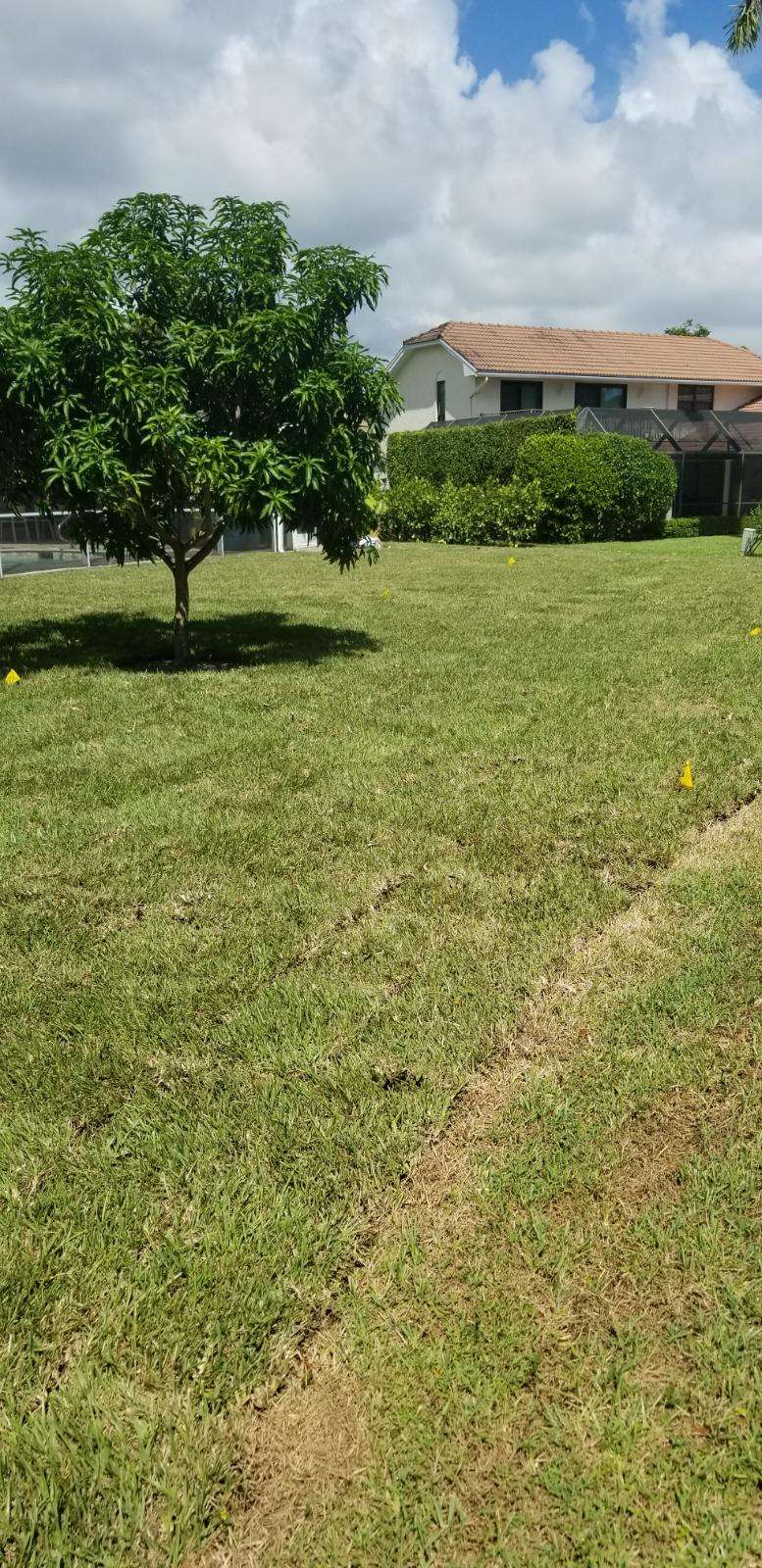 Williams Soils & Sod | 2580 S Military Trail, West Palm Beach, FL 33415, USA | Phone: (561) 967-1591