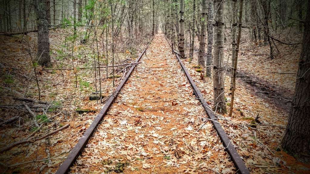 Hopbrook Marsh Conservation Land | Sudbury, MA 01776