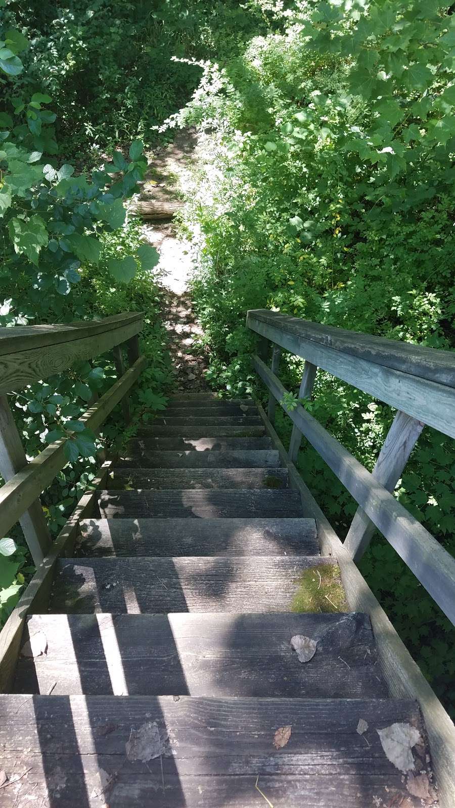 Mud Lake Bog Nature Preserve | 905 E Elm Valley Rd, Buchanan, MI 49107, USA