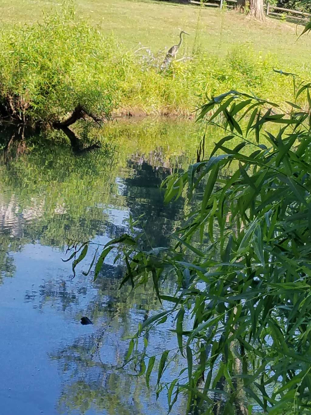 Stevens Park Pond | 17533 Collier Cir, Poolesville, MD 20837, USA