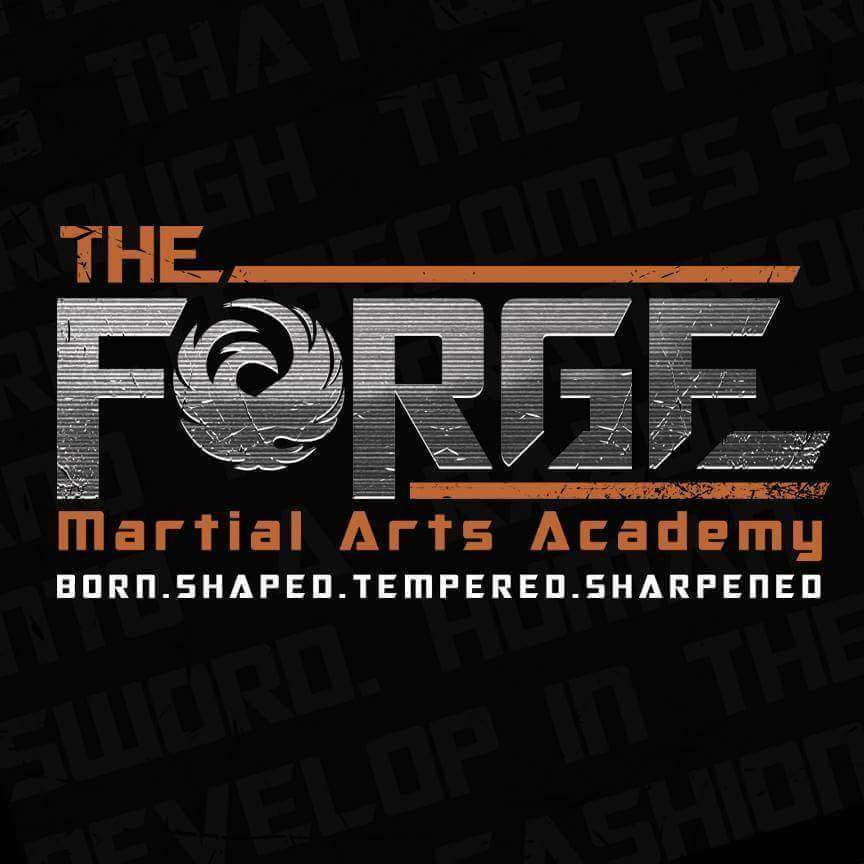 The Forge Martial Arts Academy | Tilgate, Forest Recreation Centre, Tigate, Crawley RH11 9BQ, UK