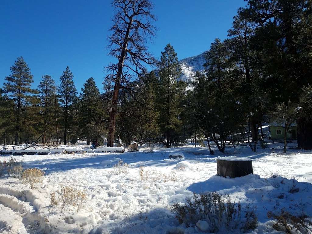 Fletcher View Campground | Forest Rd, Mt Charleston, NV 89124, USA | Phone: (702) 515-5400