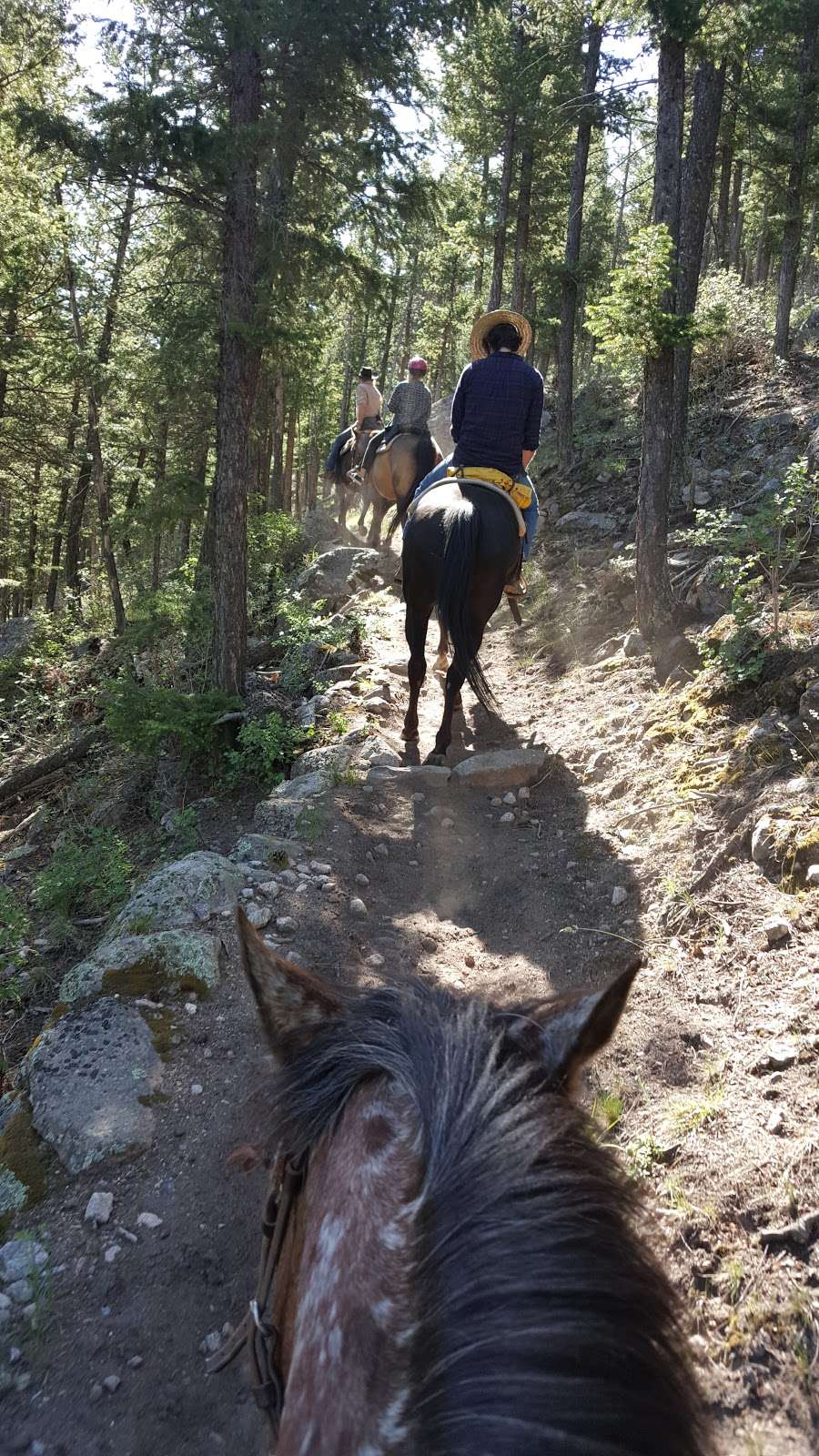 Jacksons Stables Inc | 9500, 2515 Tunnel Rd, Estes Park, CO 80511, USA | Phone: (970) 586-3341