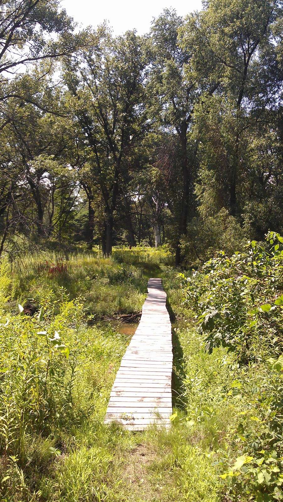 Ivanhoe South Nature Preserve / Shirley Heinze Land Trust | Colfax St, Gary, IN 46406, USA | Phone: (219) 242-8558