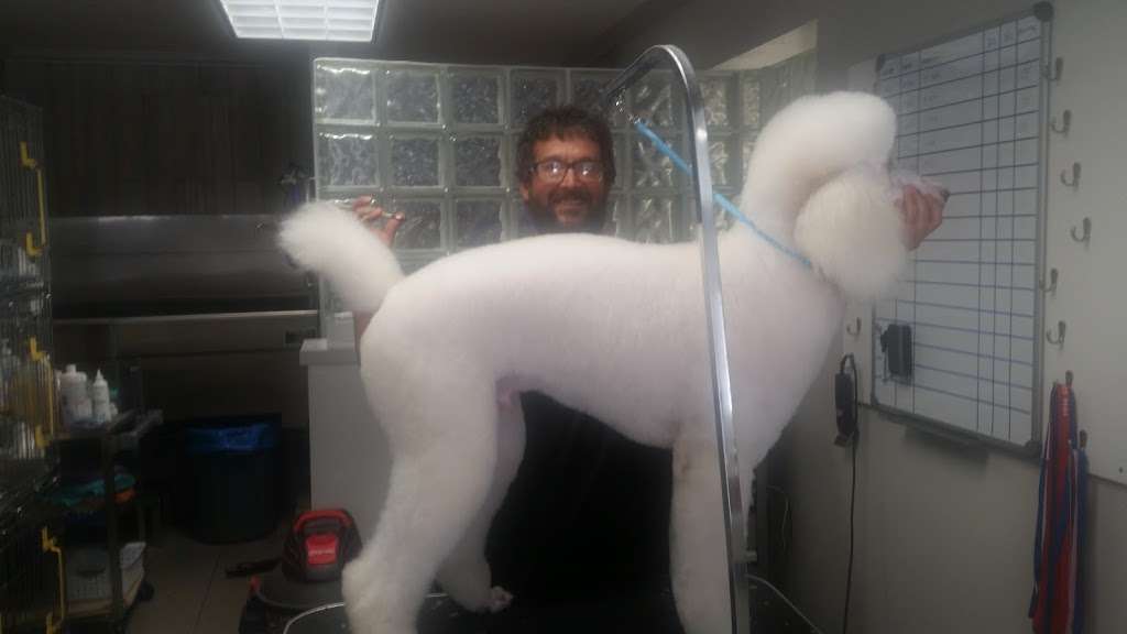 Grooming at Cabrillo Pet Hospital | 4138 Voltaire St, San Diego, CA 92107, USA | Phone: (619) 225-9684
