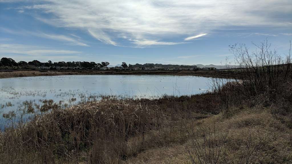 Mare Island San Pablo Bay Hiking Trail | Vallejo, CA 94592, USA