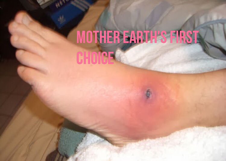 Mother Earths first choice by Allana guidry | 118 Lytham Way, Vallejo, CA 94591, USA | Phone: (707) 515-8004