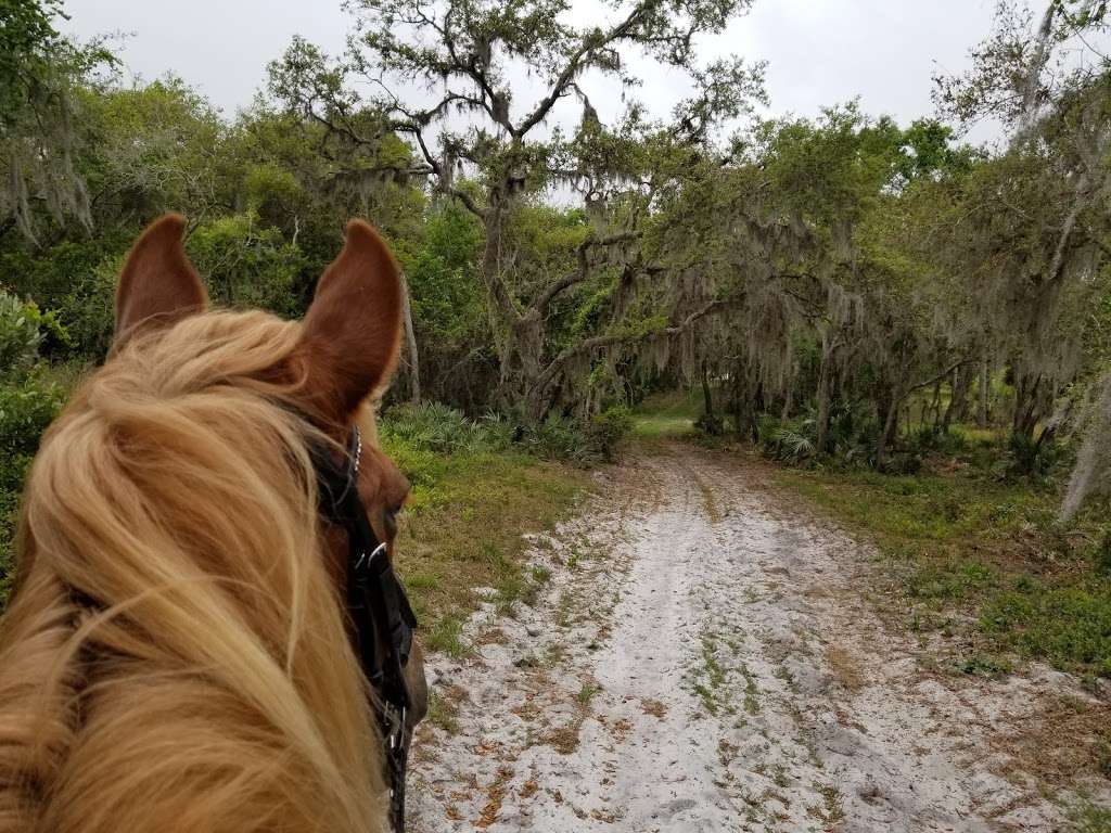 Salt Lake Wildlife Management Area | Mims, FL 32754, USA