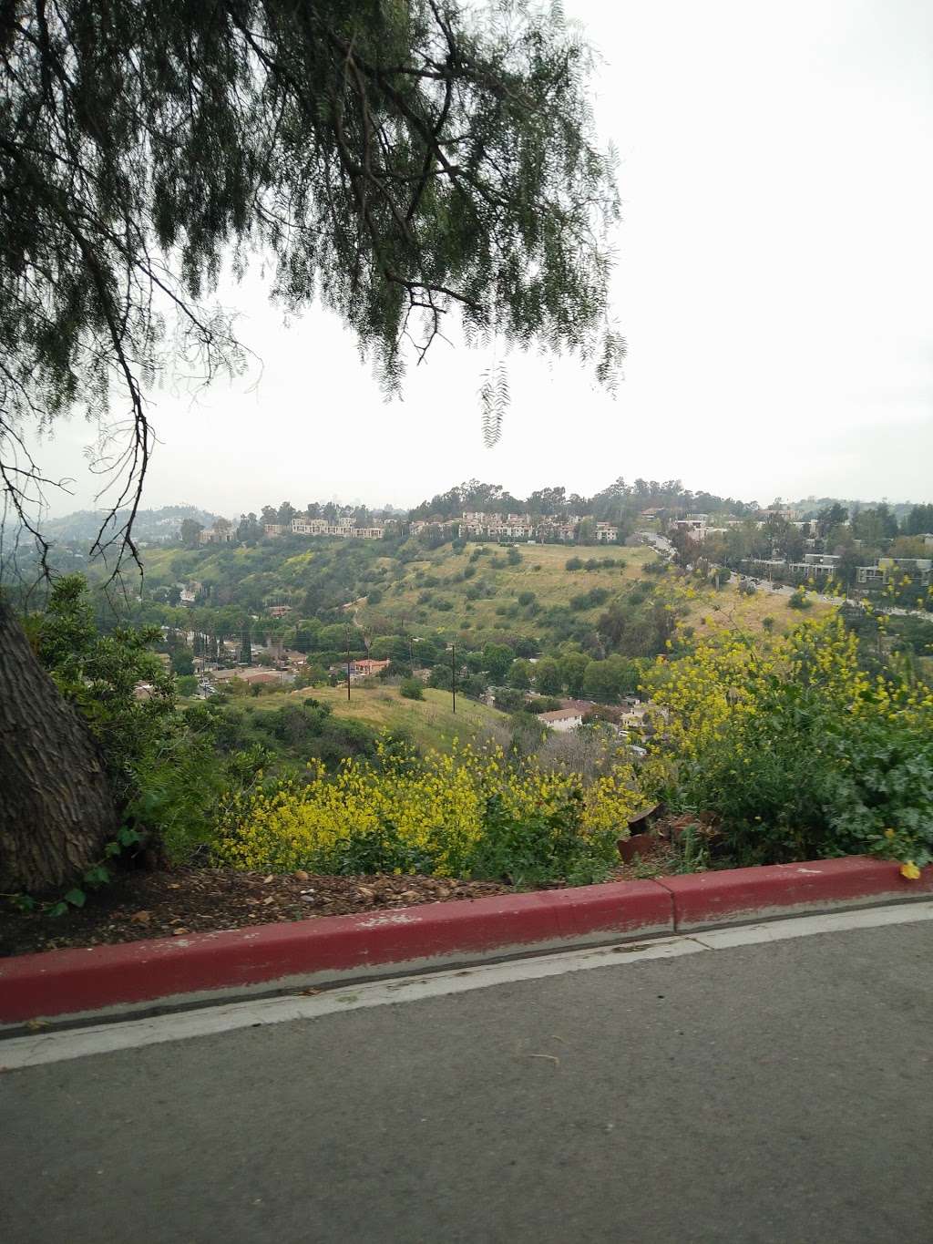 Elephant Hill | Los Angeles, CA 90032, USA