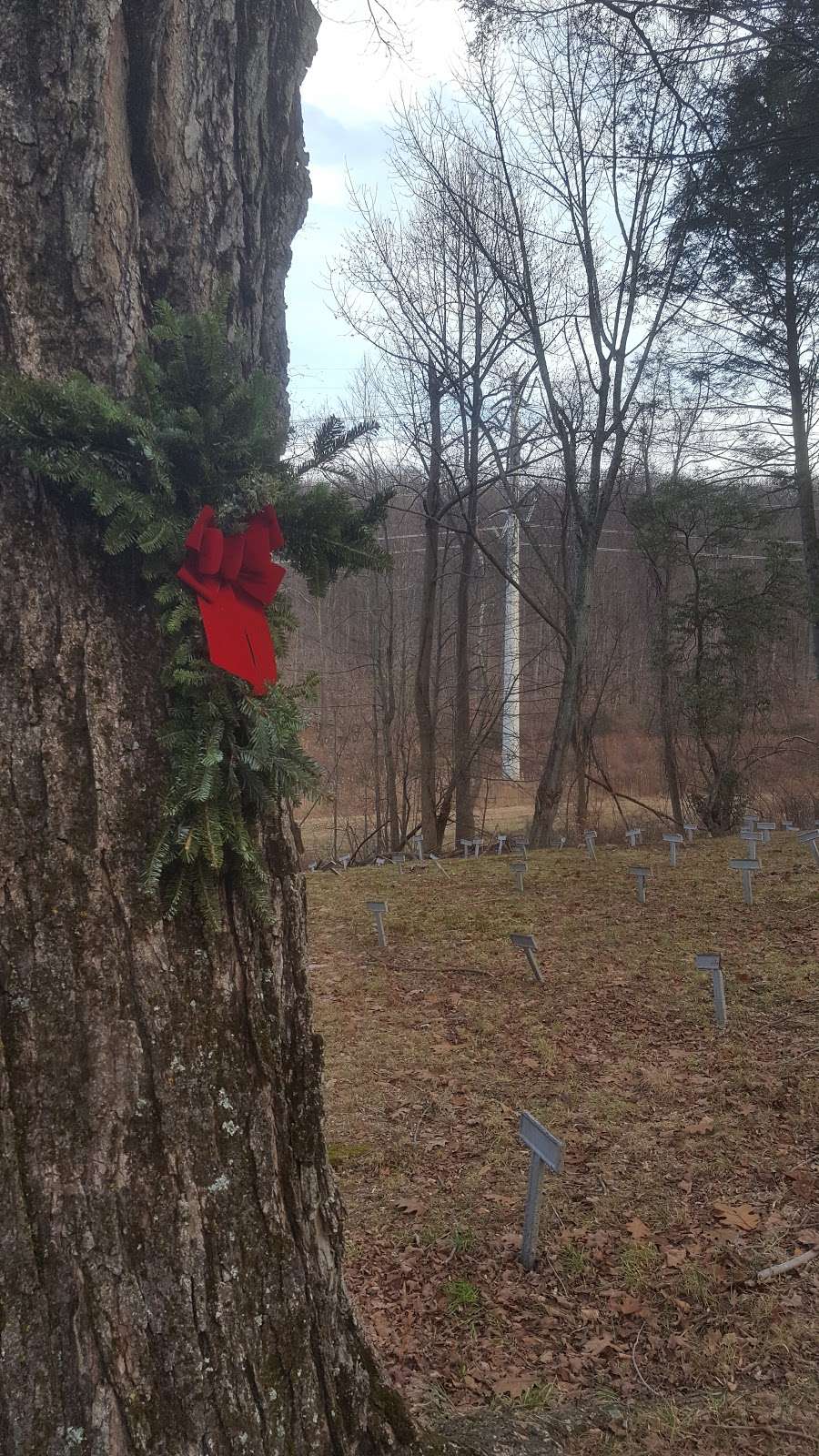 The Old Letchworth Village Cemetery | Stony Point, NY 10980, USA