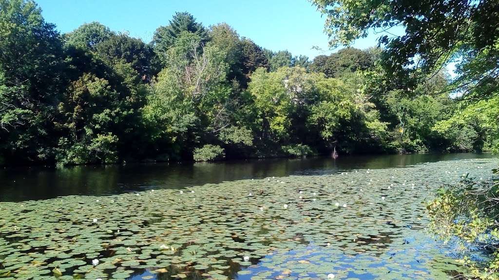 Hunnewell Park | Grasmere St, Boston, MA 02135, USA | Phone: (617) 796-1500