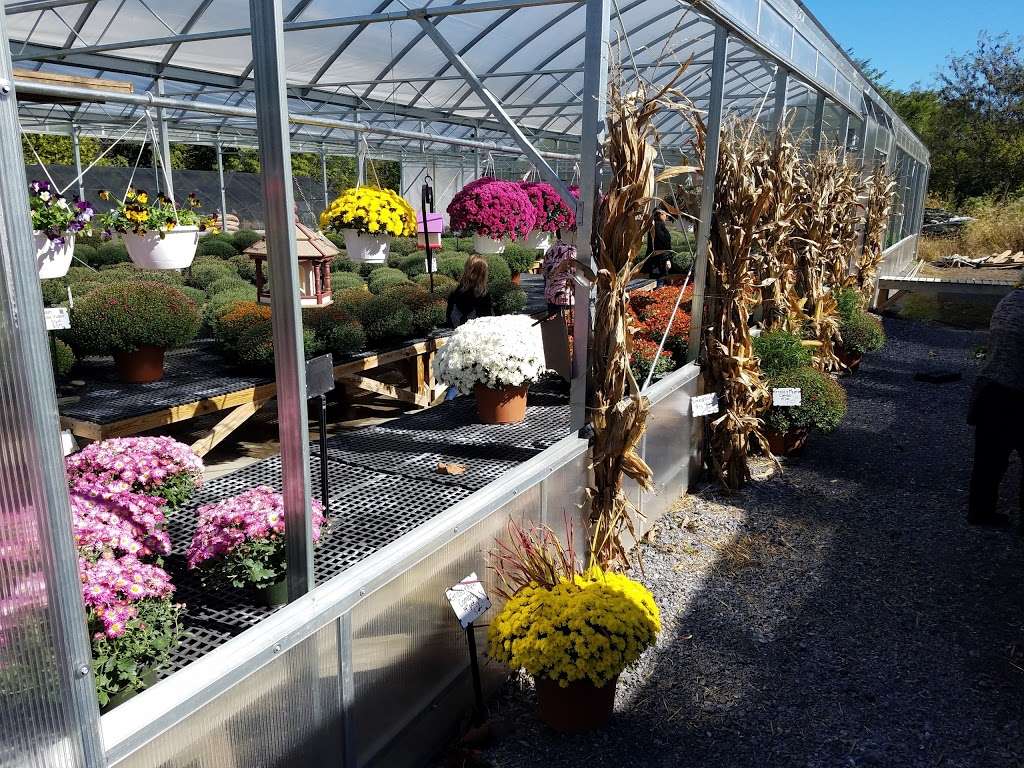 Colonial Farm Nursery | 9008 Tuscarora Pike, Martinsburg, WV 25403, USA | Phone: (304) 263-5232