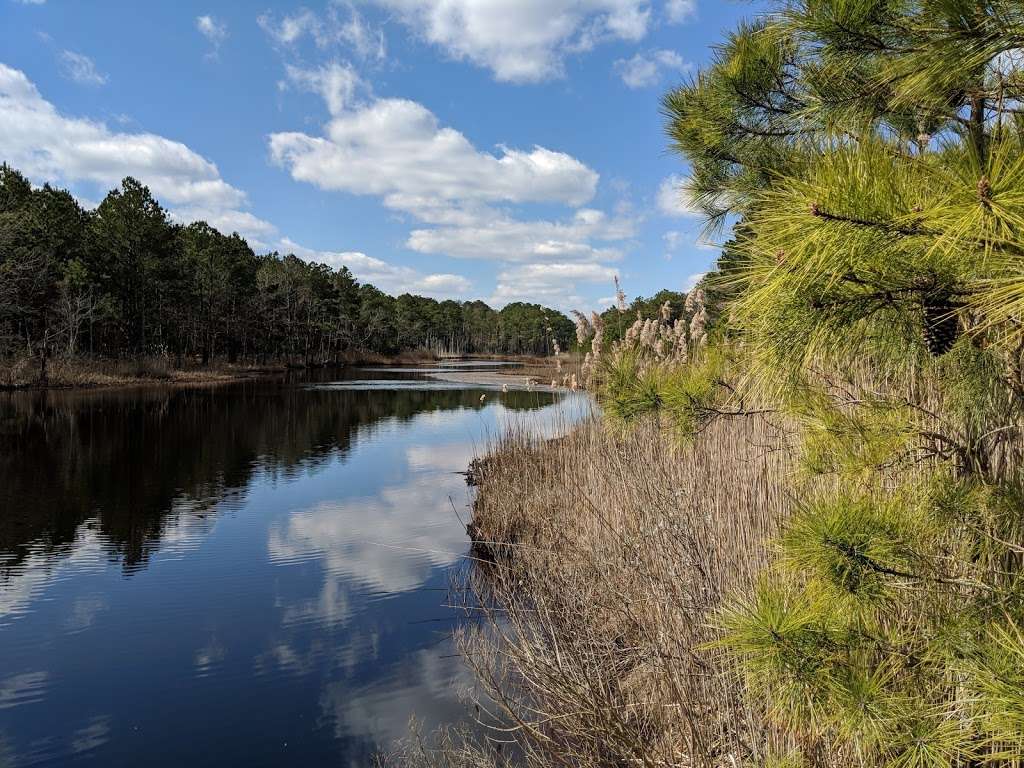 Fresh Pond Trail Head | DE-1, Bethany Beach, DE 19930 | Phone: (302) 227-2800