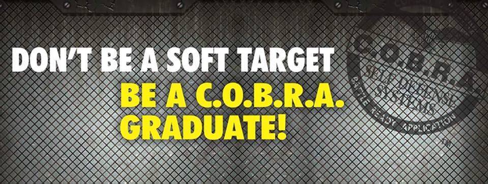 COBRA Self Defense - St Pete/Pinellas Park | 4400 34th St N, St. Petersburg, FL 33714, USA | Phone: (727) 392-3198