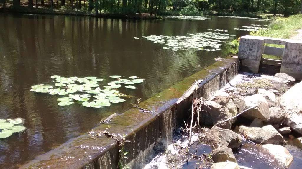 Raccoon Pond | Laurel, DE 19956, USA