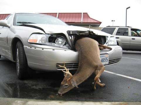 Ameys Garage Inc. | 4228 Lehigh Dr, Cherryville, PA 18035, USA | Phone: (610) 767-5202