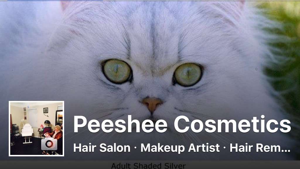 Peeshee Cosmetics | 13099 Westheimer Rd, Houston, TX 77077, USA | Phone: (281) 789-8558