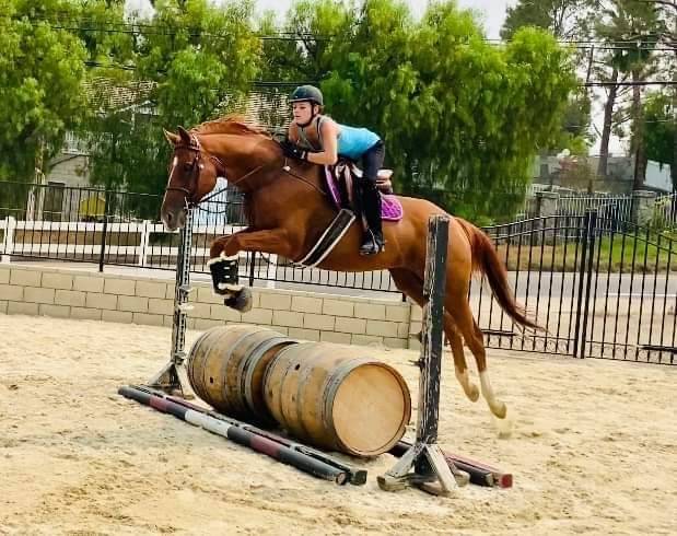 Hoofbeats Equestrian | 8790 Mecca Rd, Elk Grove, CA 95624, USA | Phone: (916) 796-3044