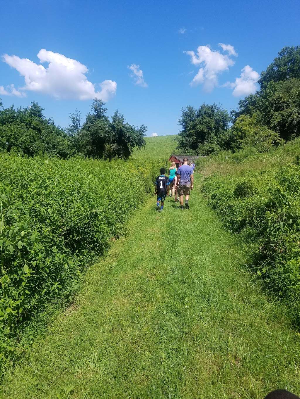 Coverdale Farm Preserve of Delaware Nature Society | 543 Way Rd, Greenville, DE 19807, USA | Phone: (302) 239-2334