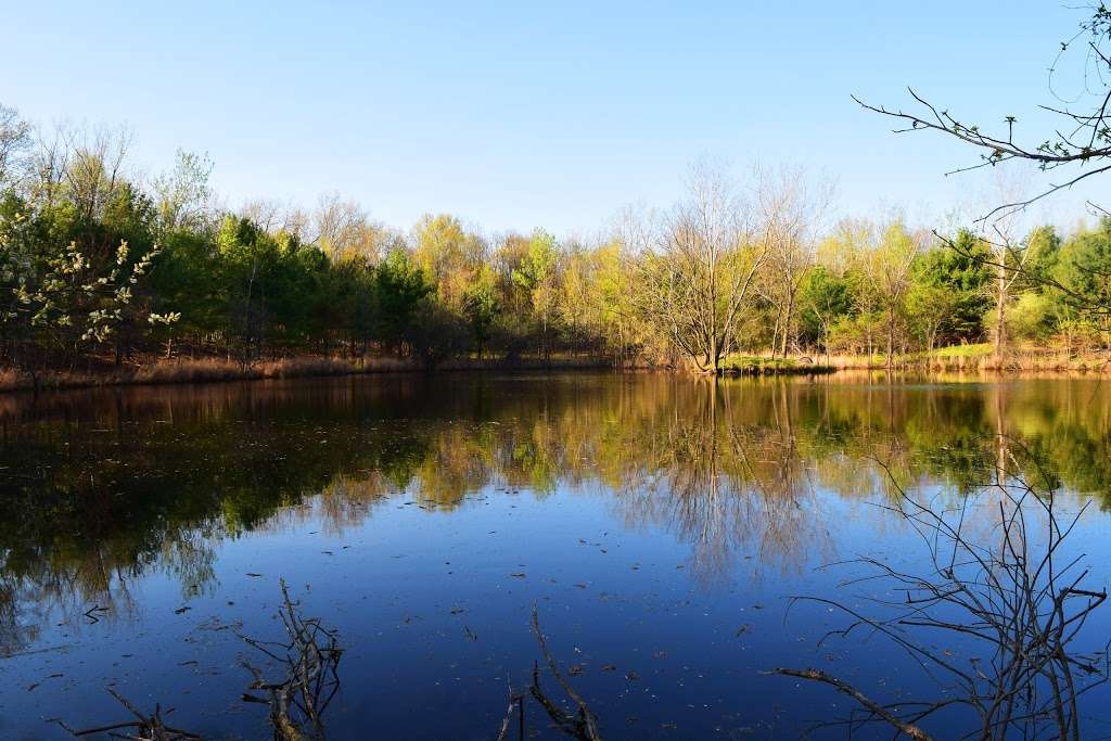 Clay Pit Ponds State Park Preserve | 83 Nielsen Ave, Staten Island, NY 10309 | Phone: (718) 967-1976