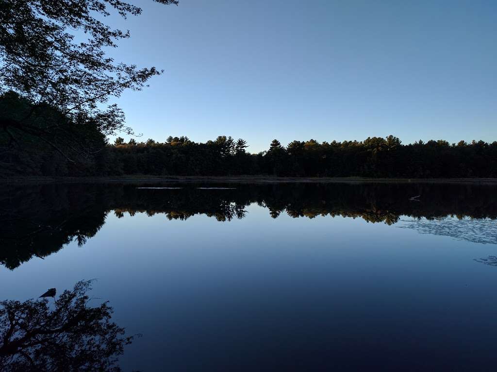 Hewitts pond reserve | Photo 7 of 10 | Address: Forge River, Raynham, MA 02767, USA