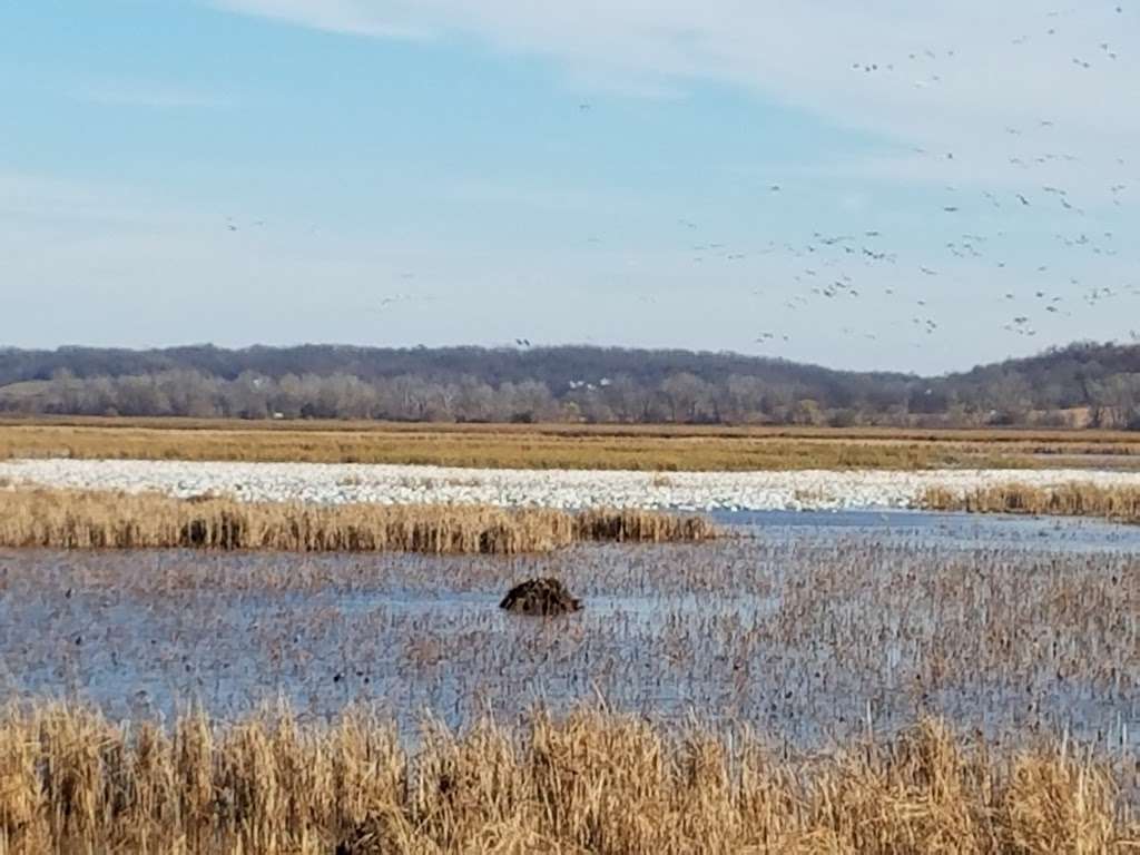 Loess Bluffs National Wildlife Refuge | 25542 US-159, Forest City, MO 64451 | Phone: (660) 442-3187