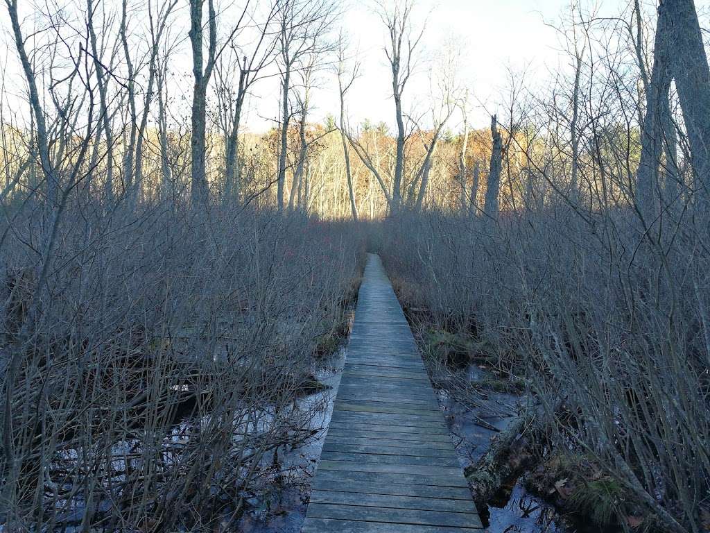 Grassy Pond Conservation Area | Acton, MA 01720, USA | Phone: (978) 929-6640