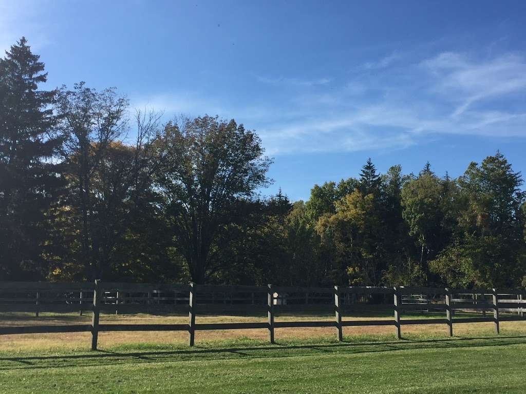 Rambling Pines Day Camp | 174 Lambertville Hopewell Rd, Hopewell, NJ 08525, USA | Phone: (609) 466-1212