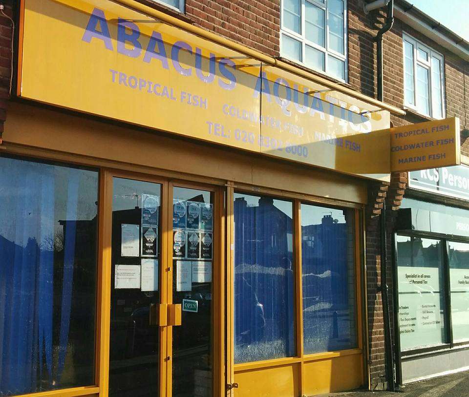 Abacus Aquatics | 168A Halfway St, Sidcup DA15 8DJ, UK | Phone: 020 8302 8000