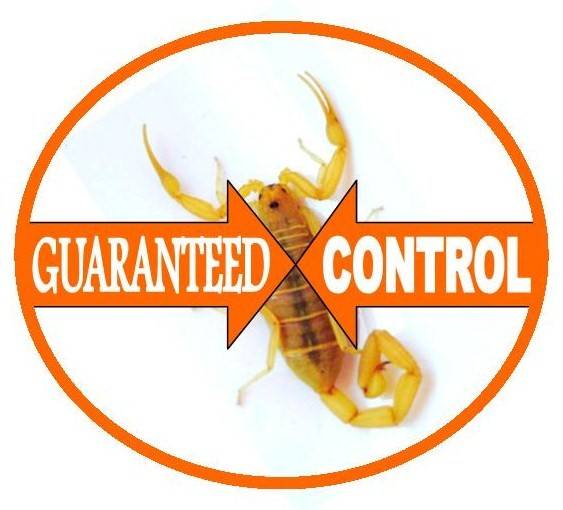 Responsible Pest & Scorpion Control | 4360 W Chandler Blvd # 9, Chandler, AZ 85226, USA | Phone: (602) 334-4831