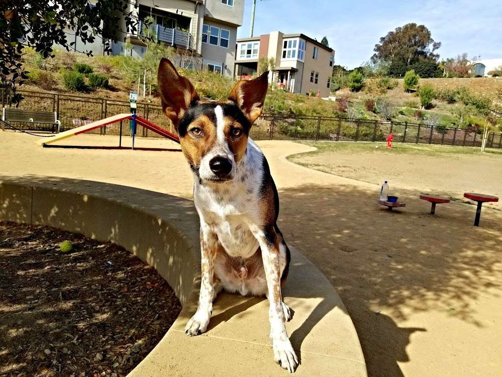 Civita Dog Park | San Diego, CA 92108, USA