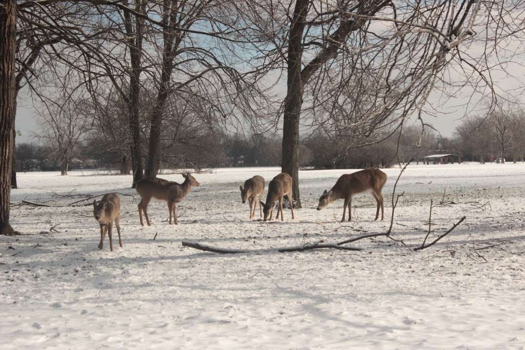 Justice Park District | 7747 Oak Grove Ave, Justice, IL 60458, USA | Phone: (708) 458-1370