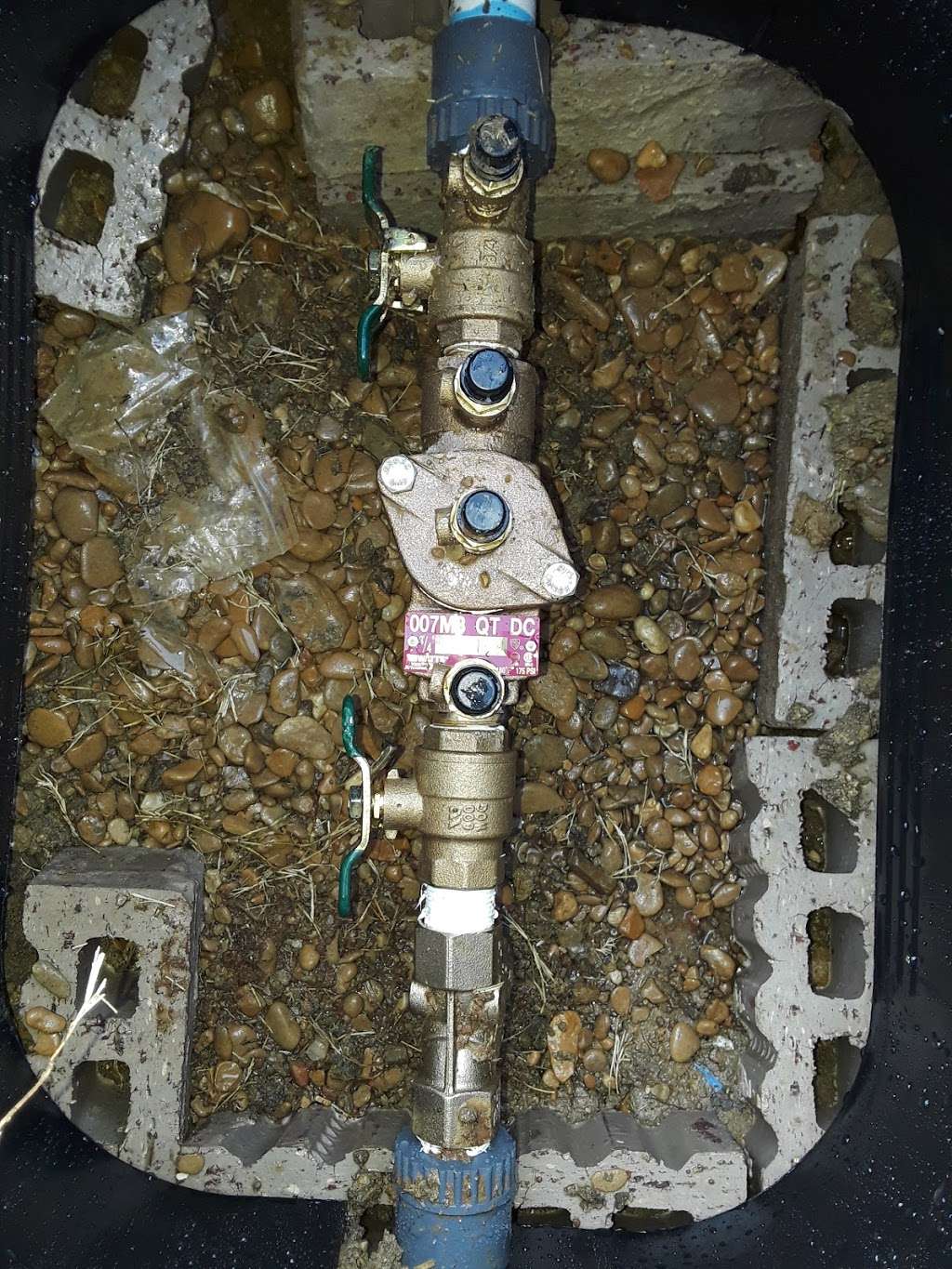 Avalon Nursery | 901 S Cedar Hill Rd, Cedar Hill, TX 75104, USA | Phone: (469) 272-7707