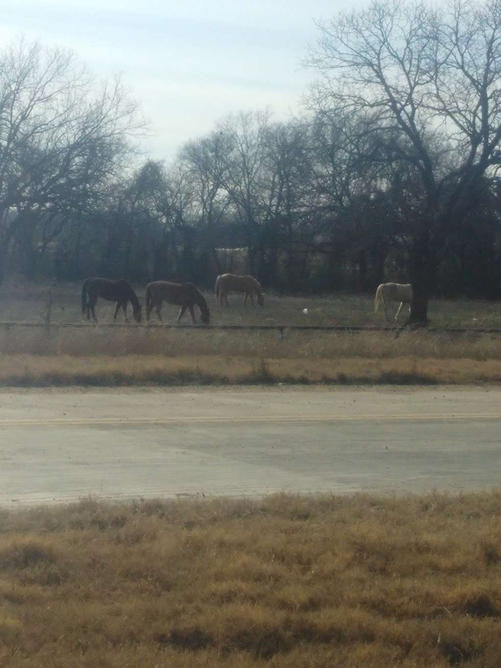 Trinity park and club "soccer park" | 6036 Elam Rd, Dallas, TX 75217, USA