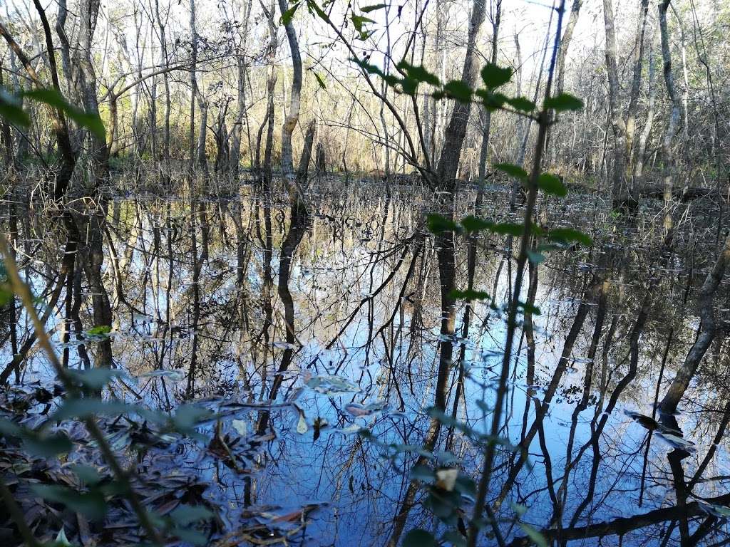 Armadillo Mtb Trails | Pasadena, TX