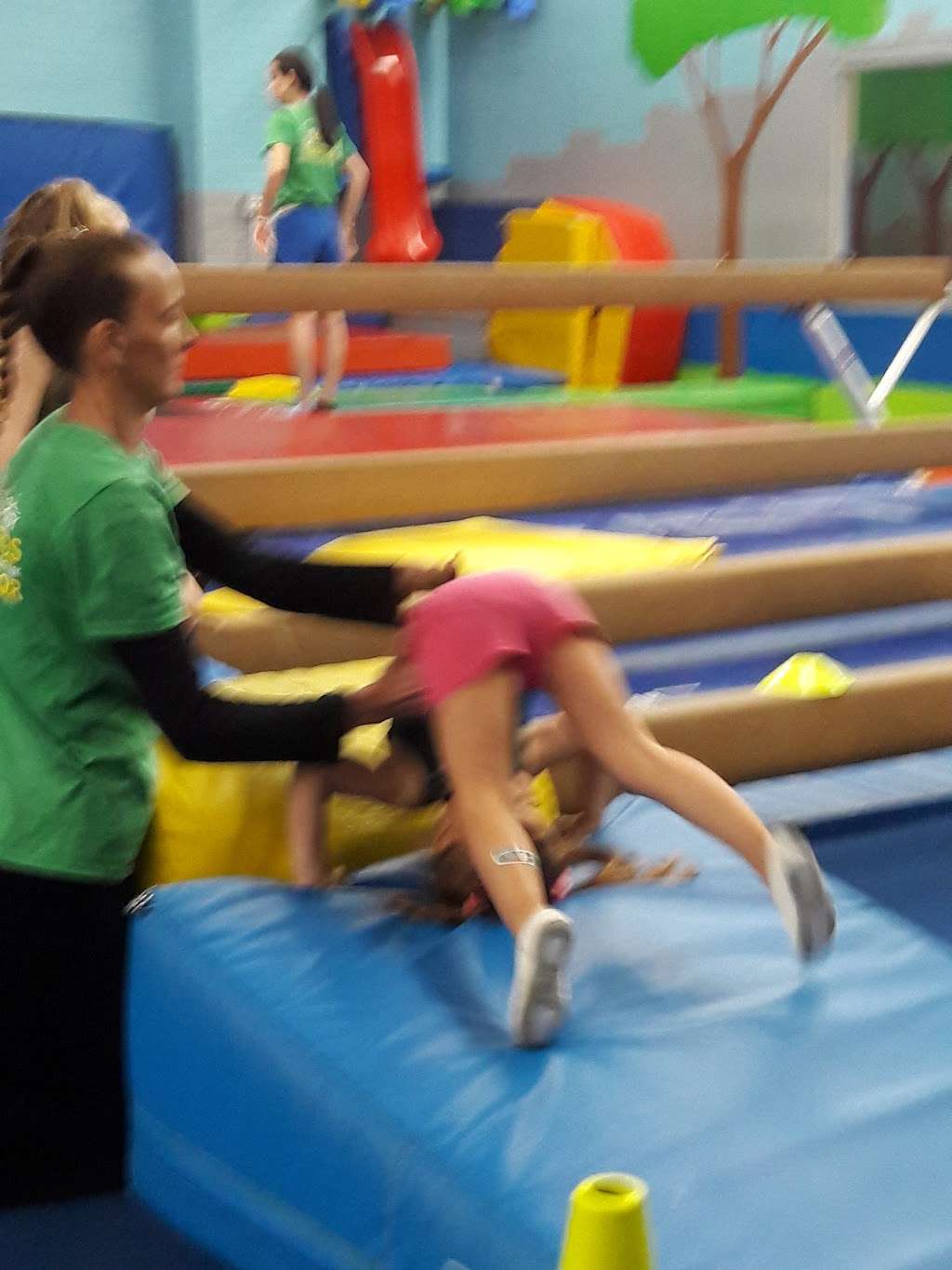 Park City Gymnastics Ltd. | 170-16 39th Ave, Flushing, NY 11358, USA | Phone: (718) 463-1511