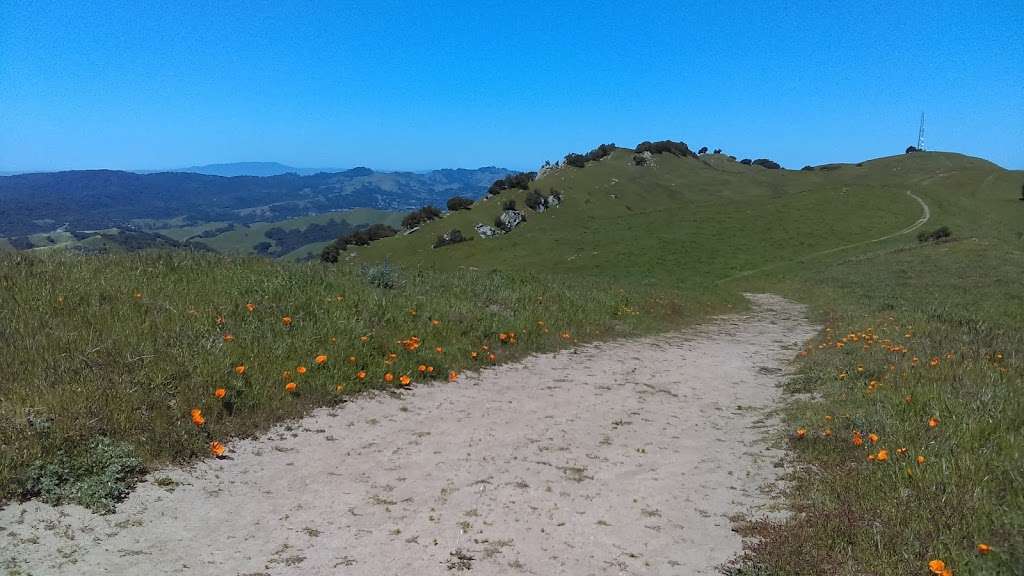 Las Trampas Ridge Trail | Las Trampas Ridge Trail, Moraga, CA 94556, USA | Phone: (888) 327-2757