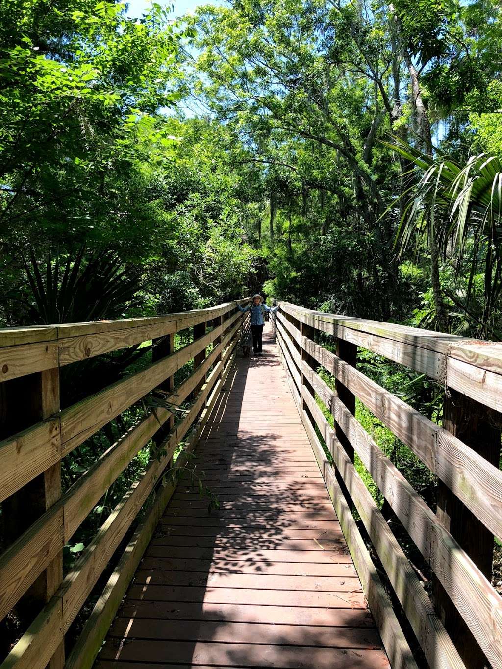 Black Bear Wilderness Trailhead | 5298 Michigan Ave, Sanford, FL 32771, USA | Phone: (407) 665-2211