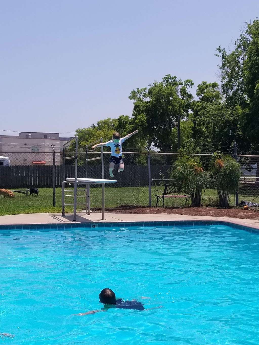 Robindell Neighborhood Pool | 6231 Reamer St, Houston, TX 77074 | Phone: (713) 774-8817