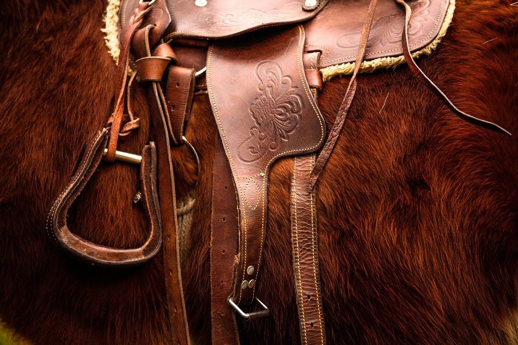 Keystone Harness & Tack | 1017 Oregon Hollow Rd, Drumore, PA 17518, USA | Phone: (717) 284-4565