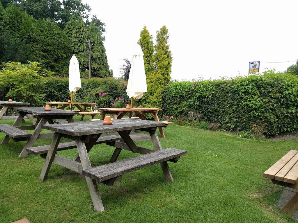 The Plough | 44 Plough Rd, Dormansland, Lingfield RH7 6PS, UK | Phone: 01342 832933