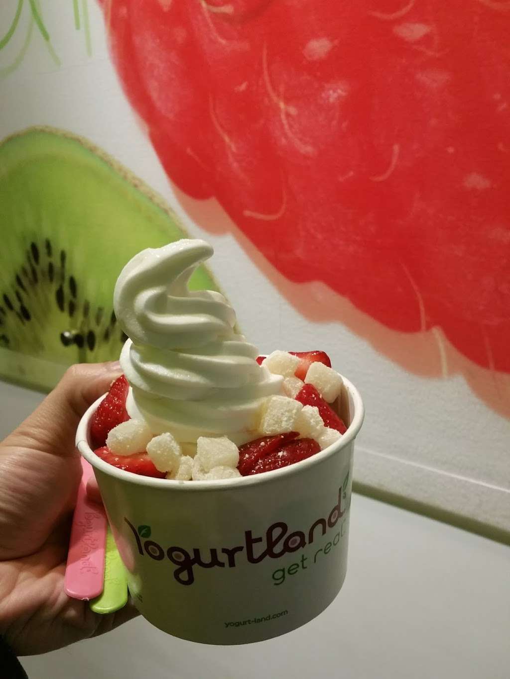 Yogurtland | 4069 Mowry Ave, Fremont, CA 94536 | Phone: (510) 795-7359